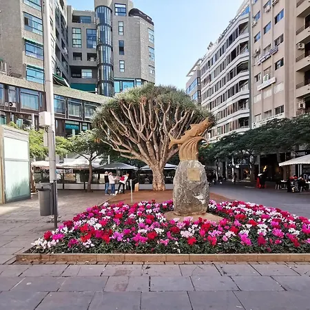 Home2book Luxury & Design Rambla Cruz Center Apartment Santa Cruz de Tenerife